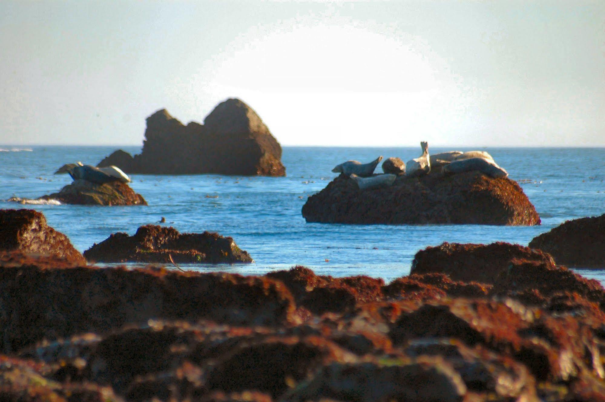 Oceanfront Lodge Crescent City Dış mekan fotoğraf